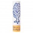 Korres Lipbalm Thyme Honey Shimmery 4.5g | Ενυδάτωση Χειλιών με Μέλι για Extra Λάμψη ΦΡΟΝΤΙΔΑ ΠΡΟΣΩΠΟΥ