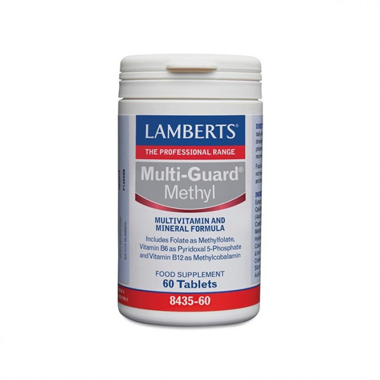 Lamberts Multi-Guard Methyl 60tabs | Συμπλήρωμα Διατροφής με Φόρμουλα Εξαιρετικά Εξειδικευμένης Πολυβιταμίνης