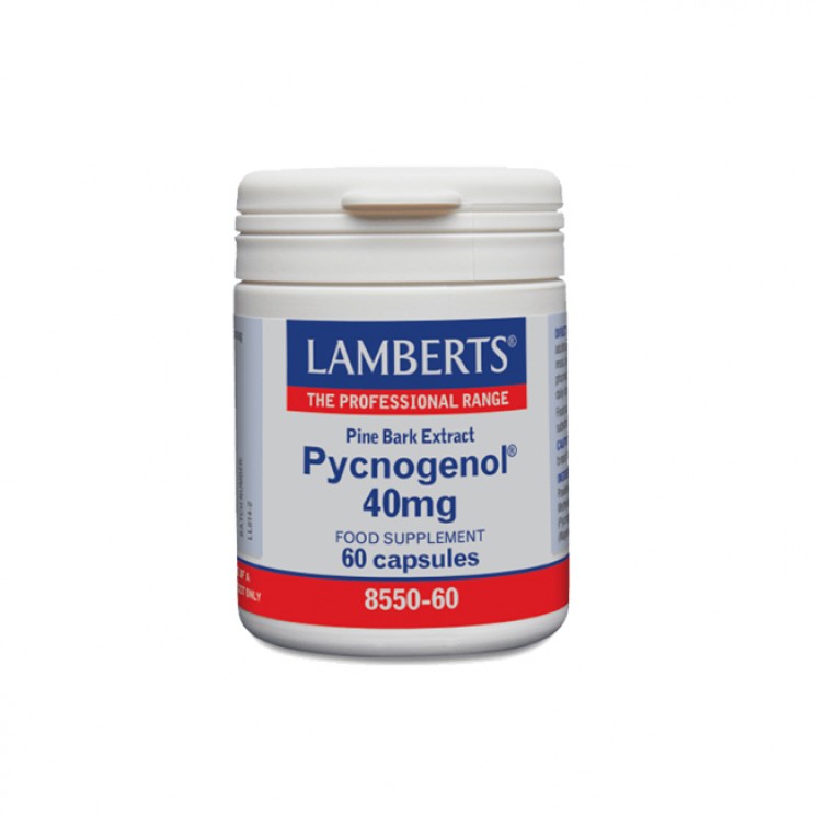 Lamberts Pycnogenol 40mg 60caps | Συμπλήρωμα με Ισχυρή Αντιοξειδωτική Δράση ΔΗΜΟΦΙΛΕΣΤΕΡΑ