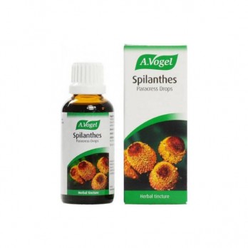 A.Vogel Spilanthes oler. 50ml | Βάμμα από Φρέσκο Σπιλάνθες