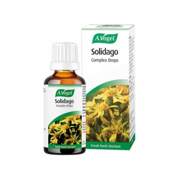 A.Vogel Nephrosolid (Solidago) 50ml | Βάμμα με Βότανα για την Εύρυθμη Λειτουργία του Ουροποιητικού Συστήματος