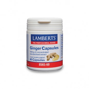 Lamberts Ginger 120mg 60caps | Συμπλήρωμα Διατροφής Τζίντζερ για την Πεπτική Δυσλειτουργία 