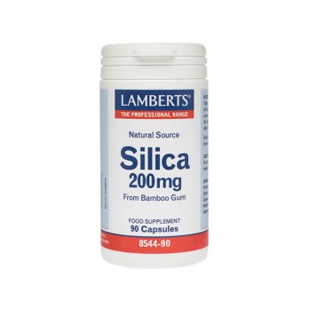 Lamberts Silica 90caps | Συμπλήρωμα Διατροφής με Οξείδιο του Πυριτίου 