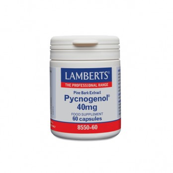 Lamberts Pycnogenol 40mg 60caps | Συμπλήρωμα με Ισχυρή Αντιοξειδωτική Δράση