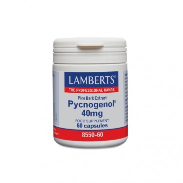 Lamberts Pycnogenol 40mg 60caps | Συμπλήρωμα με Ισχυρή Αντιοξειδωτική Δράση