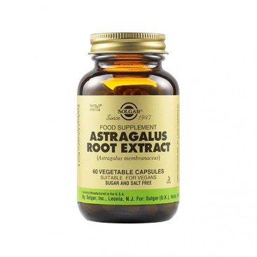 Solgar Astragalus Root Extract 60veg.caps | Συμπλήρωμα Διατροφής Για Θωράκιση Ανοσοποιητικού